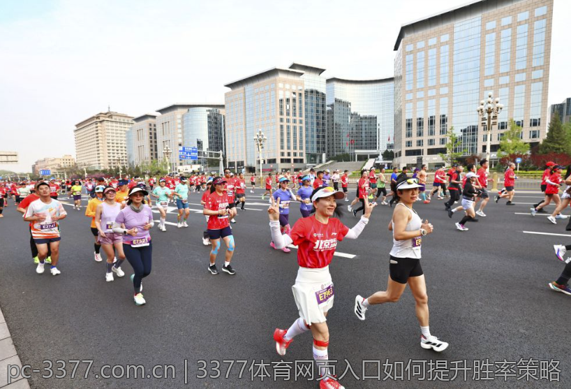 3377体育网页入口如何提升胜率策略